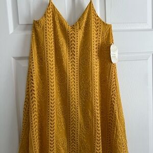 Altar’d State Golden Lace Dress